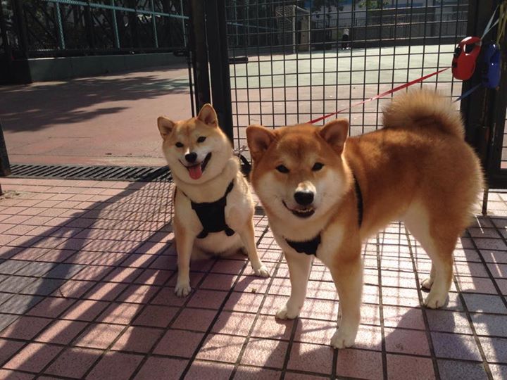 赫塔菲紧凑站位构建防守壁垒,赫塔菲实力