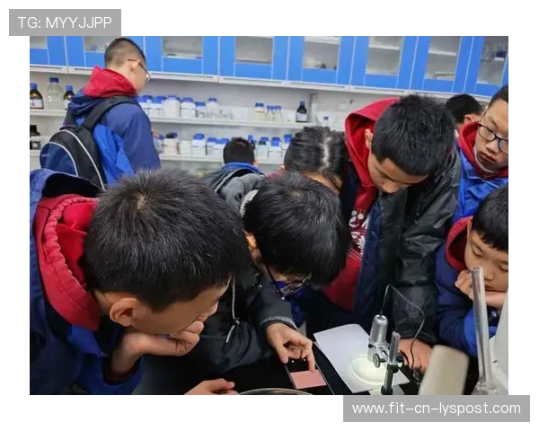 Kós双项目晋级，显示项目多样性